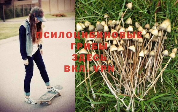 винт Алексин