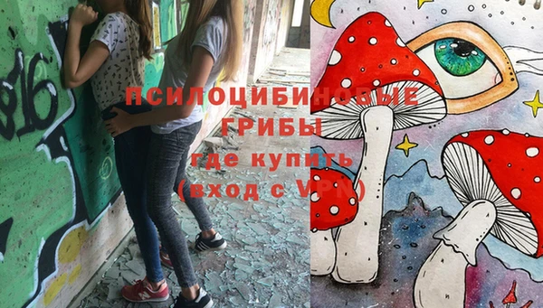 винт Алексин