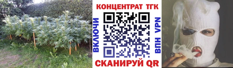 где найти   Гуково  ТГК Wax 