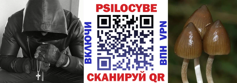 купить   Гуково  Галлюциногенные грибы мухоморы 